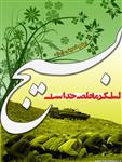 جایگاه بسیج در قوانین